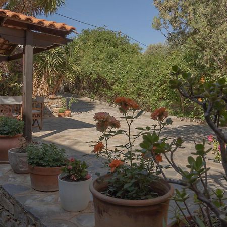 Private Pet Friendly Villa Ágios Nikólaos Екстериор снимка